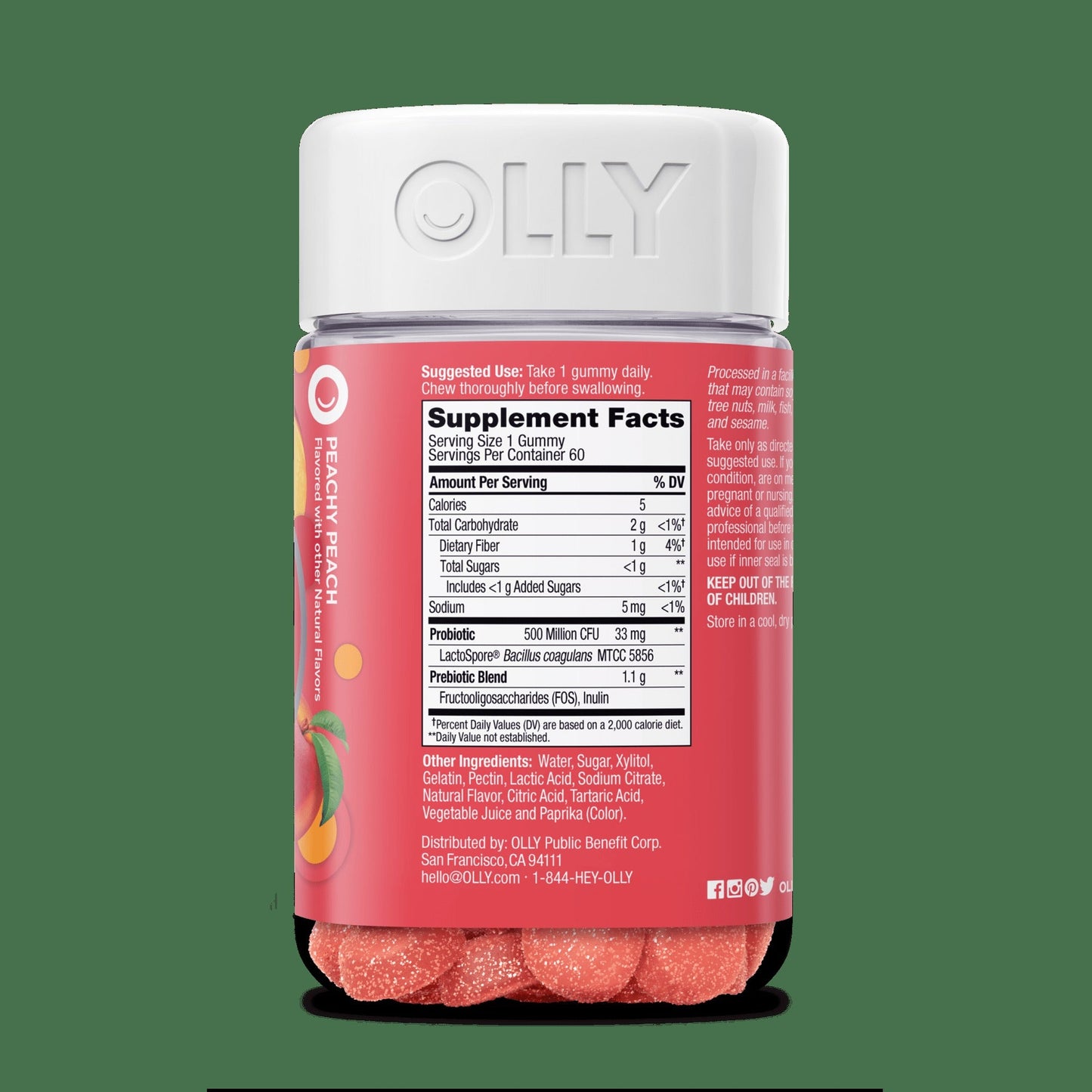 Probiotic + Prebiotic